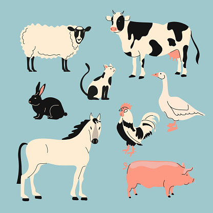 Farm animals set. Vector collection of animals and birds in trendy flat style including horse, cow, sheep, pig, rabbit, goose and chicken, cat isolated on white.