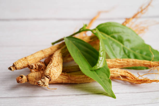 istock Ginseng roots and green leaf, healthy food. 1478688170