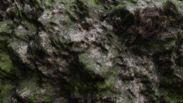 istock Green moss on stone texture background. 3d illustration 1478689248