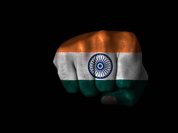 istock Fist of India 147868965