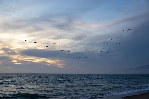 A scenic vivid sunset over the ocean and empty seashore with seagulls flying over