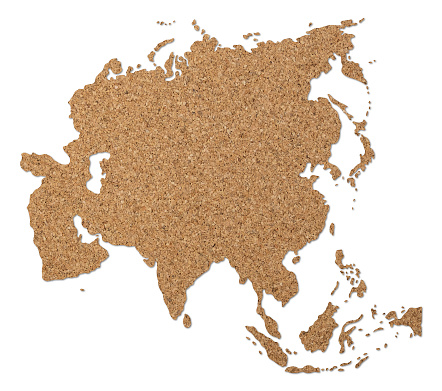 Asia map cork wood texture cut out on white background.