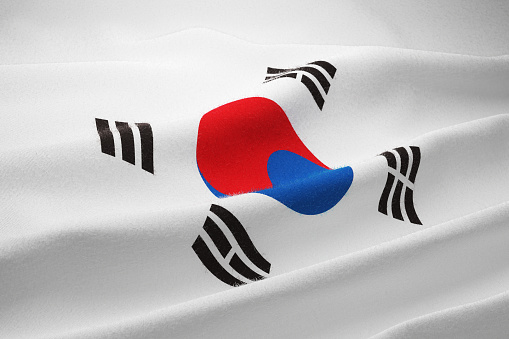 South Korea flag waving.