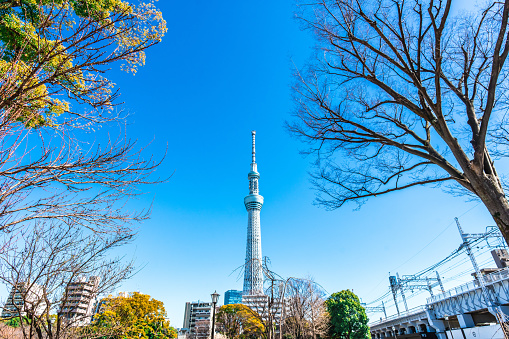 Shot of a Tokyo Skytree surrounded in Japan