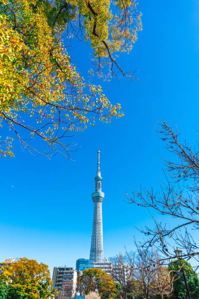 istock Shot of a Tokyo Skytree surrounded in Japan 1478695979