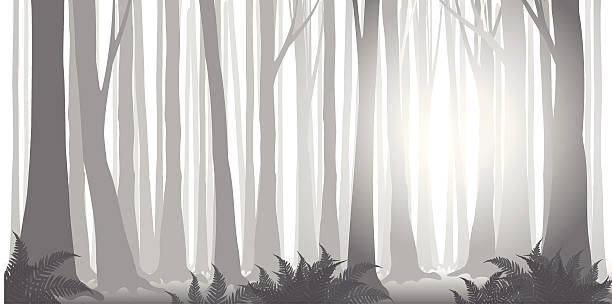 Forêt de brouillard, Échelle de gris - Illustration vectorielle