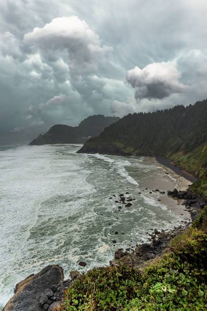 istock Vertical shot of the seashore 1478698903