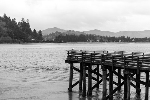 A grayscale of a wooden pier in the Siletz Bay along the Oregon coast, USA on a cloudy day