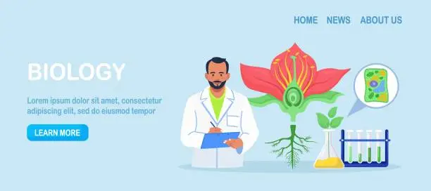 Vector illustration of Biology, botany subject. Biologist exploring nature. Scientist make laboratory analysis of life system of plants. Molecular engineering, microbiology. Chemical researcher working with lab equipment