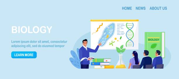 ilustrações de stock, clip art, desenhos animados e ícones de biology school subject. students exploring nature and living organism structure. teacher standing at whiteboard and explaining biological process to children. academic education - science botany chemistry formula