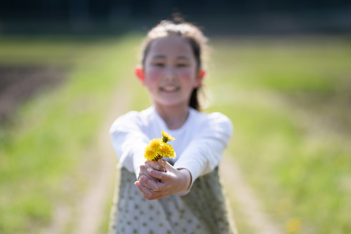 Girl holding out a dandelion