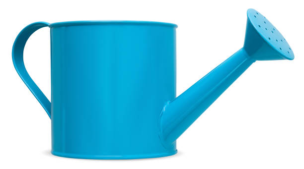 istock Metal vintage blue Watering Can, isolated on white background with clipping path, spring time concept for home garden or vegetable garden and plants care 1478709078
