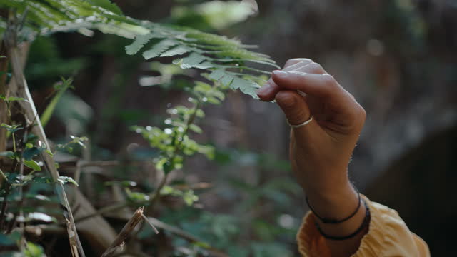 Female Hand Touching Wild Tropical Plant