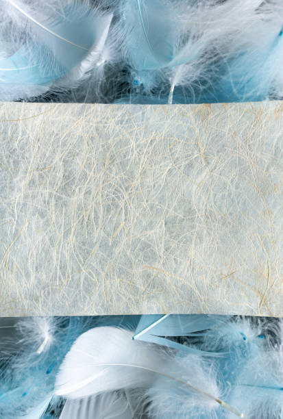 istock White paper on the feather background 1478717794
