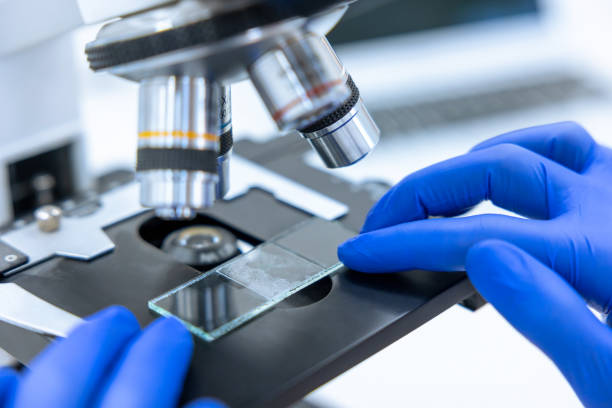 istock Researchers doing microscopic endoscopy to examine degradation of cells, lab experiments. 1478718305