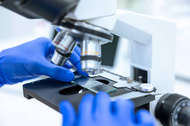 istock Unrecognizable scientist or doctor in medical gloves using microscope for research in laboratory 1478718306