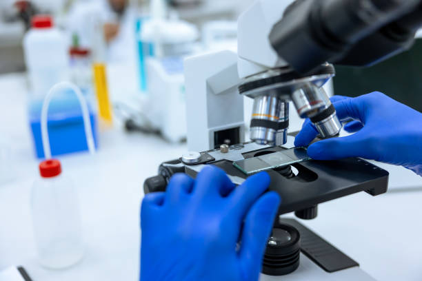 istock Unrecognizable doctor scientist working in modern laboratory with microscope, genetic researching. 1478718309