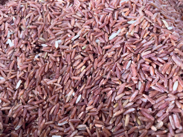 Free Stock Photo of Red Rice | Download Free Images and Free Illustrations