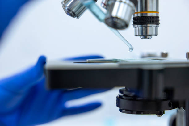 istock Scientist working with microscope making DNA test, genetic resaerching, chemistry investigation. 1478718475
