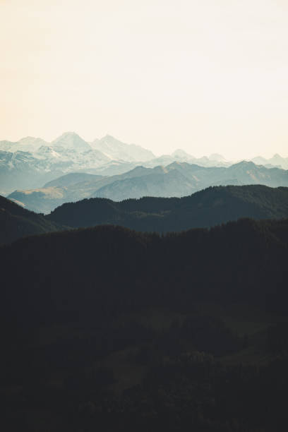 istock Silhouette shot of the mountain forest 1478720503