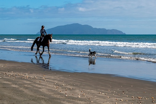 Distant wide shot of a woman horseback riding along the beach in the North East of England. The scene is tranquil and calm.