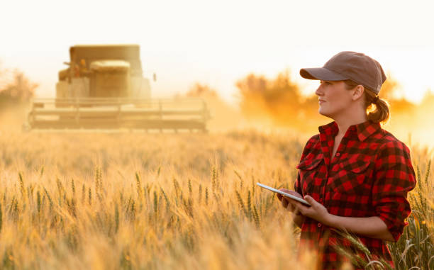 istock Farmer with digital tablet on a background of harvester. 1478721438