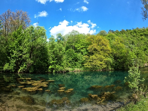 A breathtaking view of a crystal clear turquoise pond surrounded by lush green trees under a bright sky