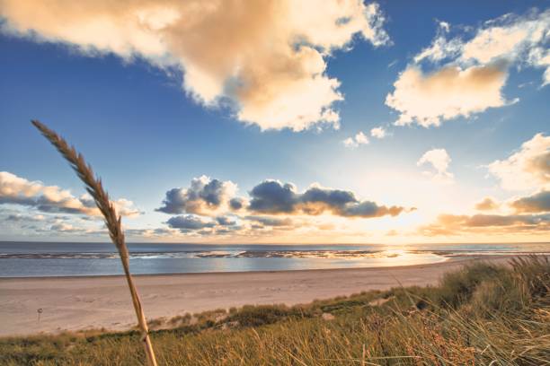 istock Mesmerizing beach and a sea stretching to the horizon under bright sunlight 1478729464