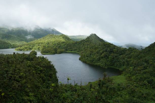lago de agua dulce, parque nacional morne trois pitons (patrimonio de la unesco), dominica - dominica fotografías e imágenes de stock
