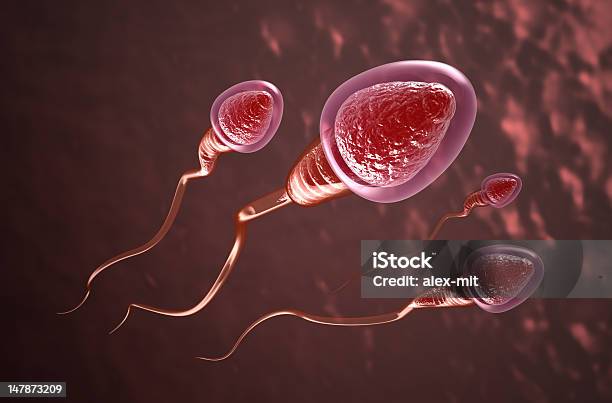 Клетки Спермы Для Яйцо Swim — стоковые фотографии и другие картинки Без людей - Без людей, Беременная, Биология