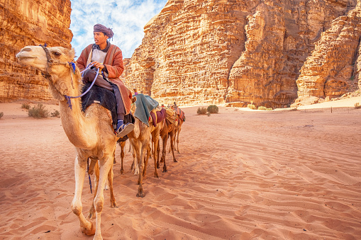 A middle eastern man riding a camel train in Wadi Rum desert in Jordan. A camel train, caravan or camel string is a series of camels carrying passengers and goods on a regular or semi-regular service between points. Wadi Rum known also as the Valley of the Moon is a valley cut into the sandstone and granite rock in southern Jordan, near the border to Saudi Arabia