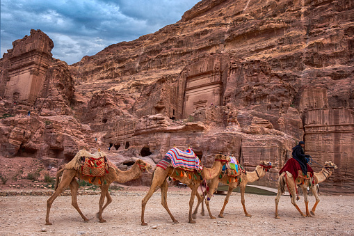 A middle eastern man riding a camel train in Petra valley in Jordan. A camel train, caravan or camel string is a series of camels carrying passengers and goods on a regular or semi-regular service between points. Petra is an ancient city, centre of an Arab kingdom in Hellenistic and Roman times, the ruins of which are in southwest Jordan.