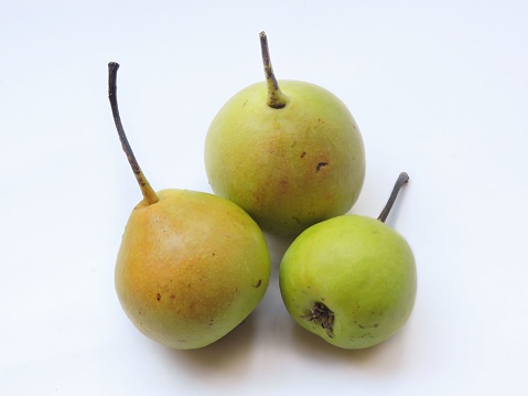 A variety of pear found in India called Nag phal or Babughosa in local language. It is sometimes called as Indian pear. It is sweet in taste and soft