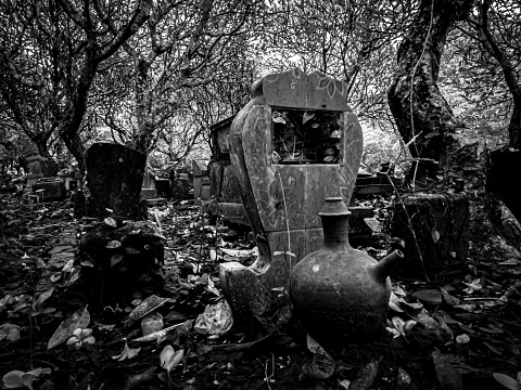 Tombstones in a cemetery surrounded by spooky dry trees. With black and white tones. Monochrome color