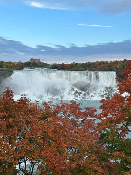 istock Blue sky over the waterfall with a tree on the foreground 1478741289