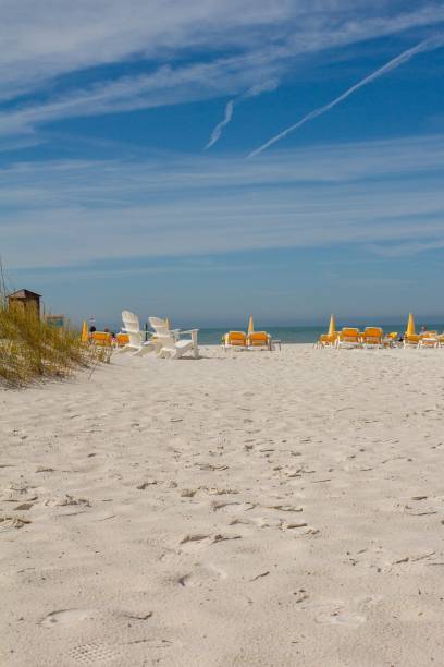 istock Vertical of a sandy beach with a seascape sunlit sky background 1478741773