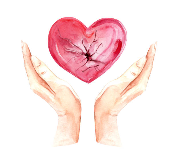 istock Red heart in  hands. Watercolor illustration 1478741895