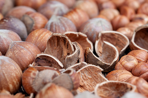 peeled hazelnut nuts close-up on the table, peeled from the hard shell of useful hazelnuts