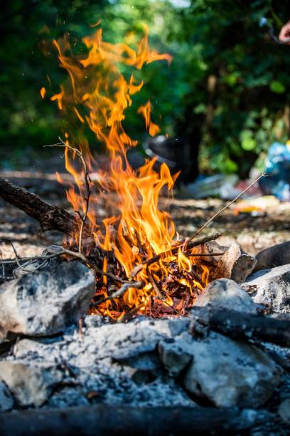 istock Vertical shot of a burning fire in a forest during the day 1478743977