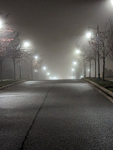 Street lights shine through fog onto an empty city street.