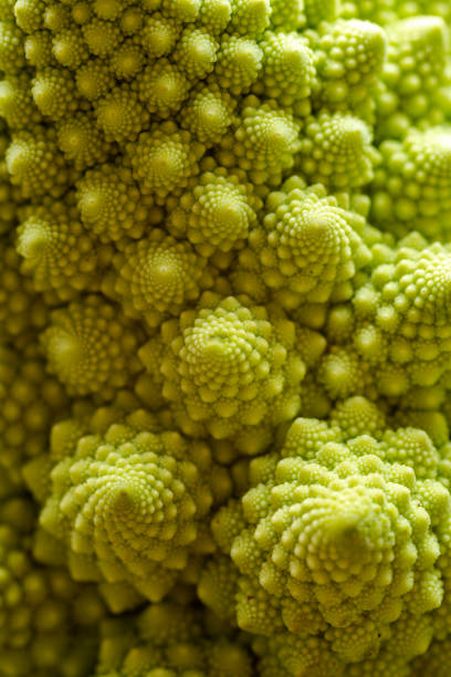istock Macro Shot of a Romanesco 1478746217