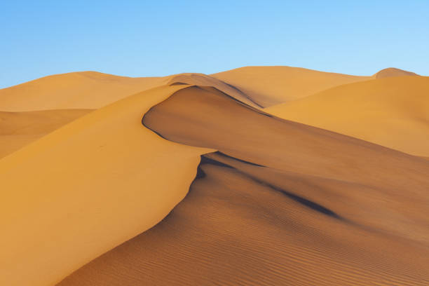 istock In the Erg Chebbi desert with a cloudless blue sky, Morocco 1478746953