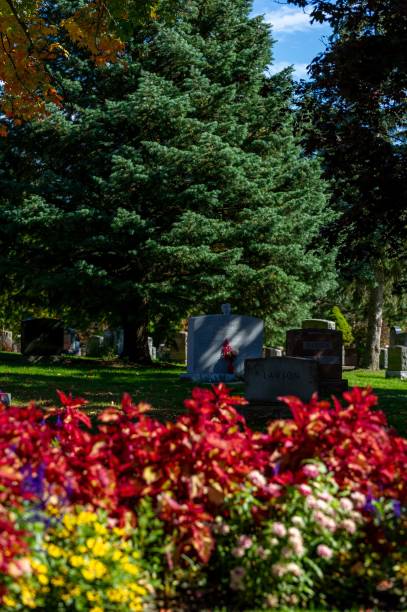 istock Flowers at Beechwood Cemetery 1478747733
