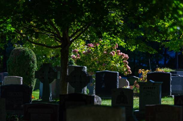 istock Tombs and graves at Beechwood Cemetery 1478747752