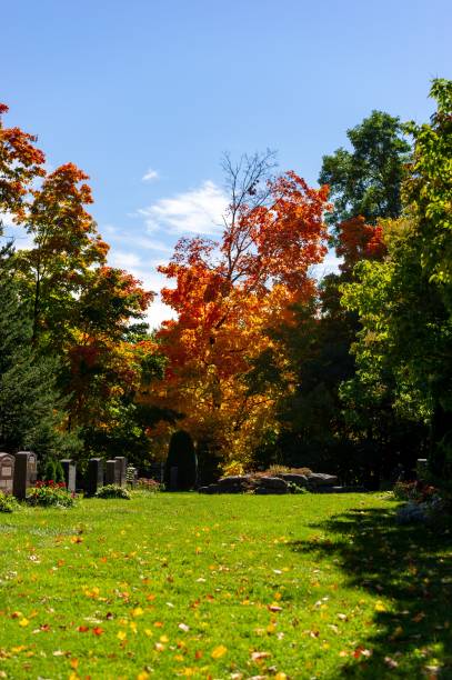 istock Tombs and graves at Beechwood Cemetery 1478747999