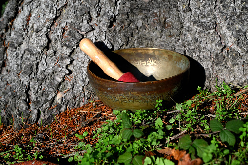 Tibetan singing bowl in front of a tree trunk