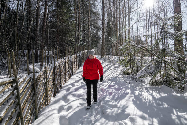 femme randonnant dans une forêt enneigée - scandinavian cross country ski ski nordic countries photos et images de collection