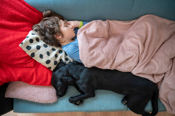 istock Boy with a flu and his dog sleeping on a domestic couch 1478749272