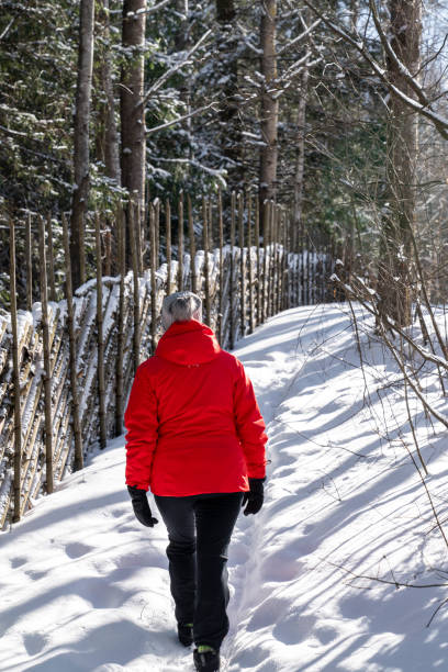 femme randonnant dans une forêt enneigée - scandinavian cross country ski ski nordic countries photos et images de collection