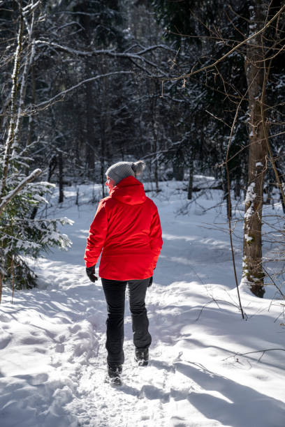 femme randonnant dans une forêt enneigée - scandinavian cross country ski ski nordic countries photos et images de collection